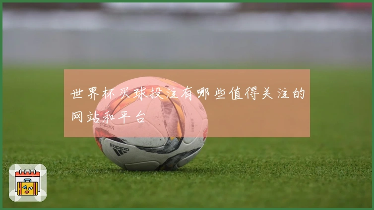 世界杯买球投注有哪些值得关注的网站和平台