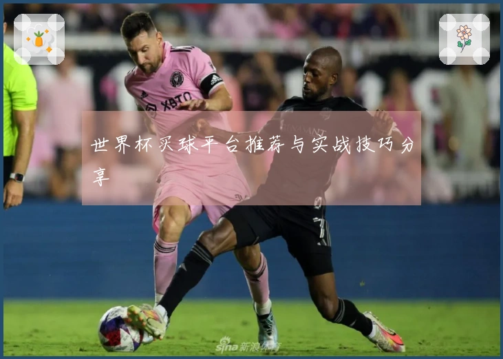 世界杯买球平台推荐与实战技巧分享