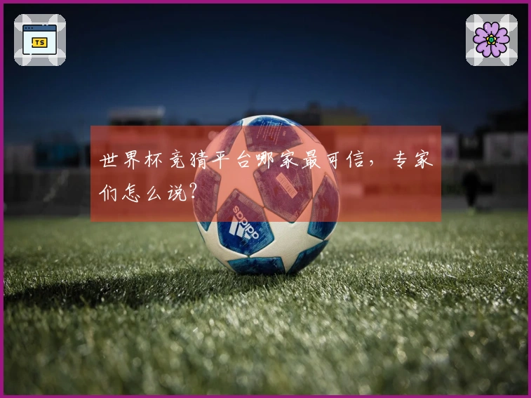 世界杯竞猜平台哪家最可信，专家们怎么说？