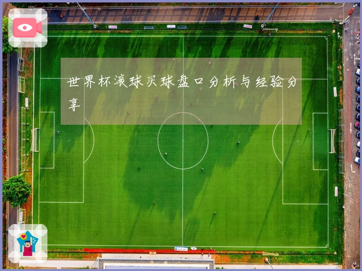 世界杯滚球买球盘口分析与经验分享
