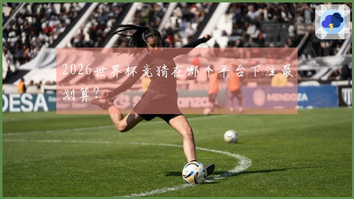 2026世界杯竞猜在哪个平台下注最划算？
