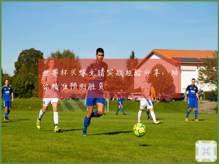 世界杯买球竞猜实战经验分享，助你精准预测胜负