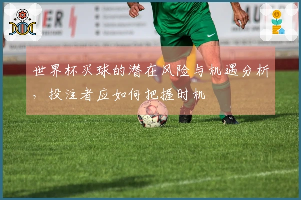 世界杯买球的潜在风险与机遇分析，投注者应如何把握时机