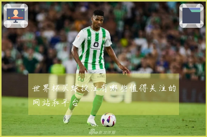 世界杯买球投注有哪些值得关注的网站和平台