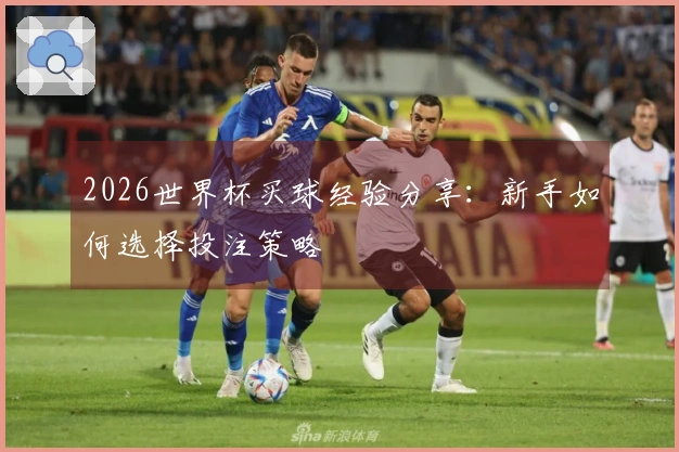 2026世界杯买球经验分享：新手如何选择投注策略