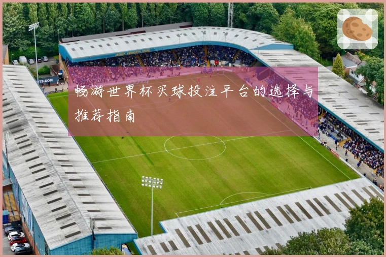 畅游世界杯买球投注平台的选择与推荐指南