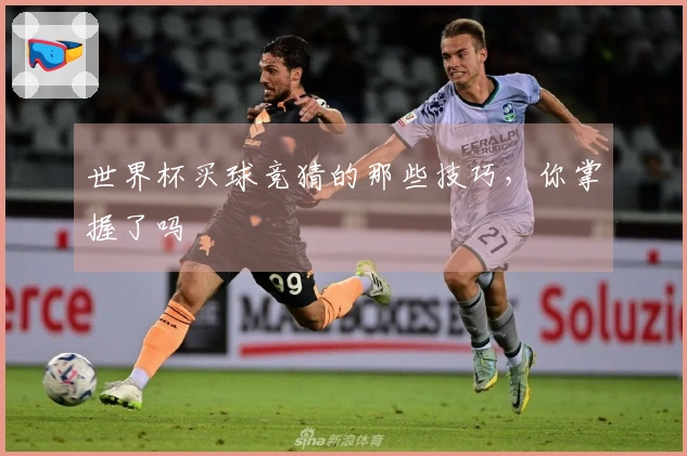 世界杯买球竞猜的那些技巧，你掌握了吗