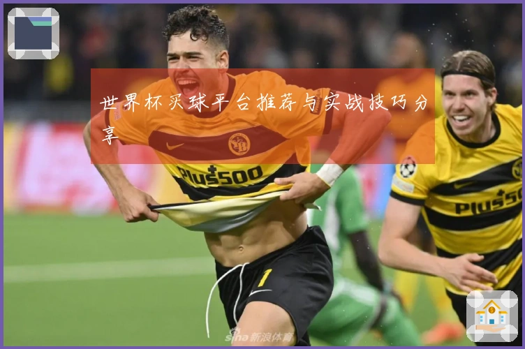世界杯买球平台推荐与实战技巧分享