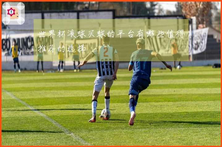 世界杯滚球买球的平台有哪些值得推荐的选择