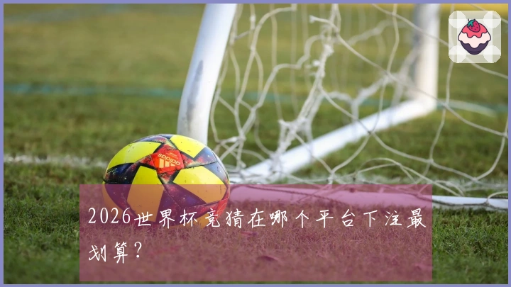 2026世界杯竞猜在哪个平台下注最划算？