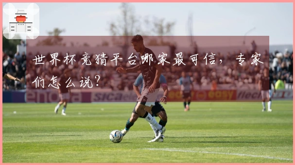 世界杯竞猜平台哪家最可信,专家们怎么说?
