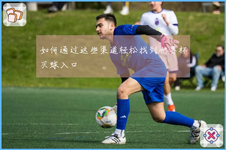如何通过这些渠道轻松找到世界杯买球入口