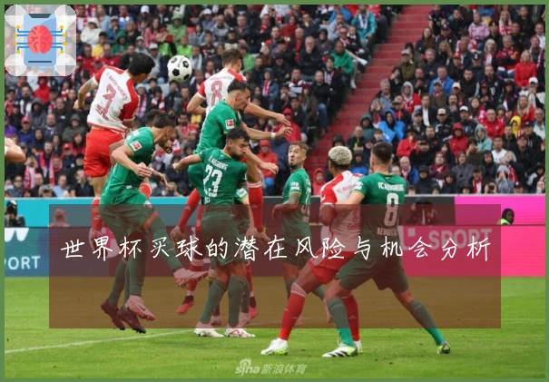 世界杯买球的潜在风险与机会分析