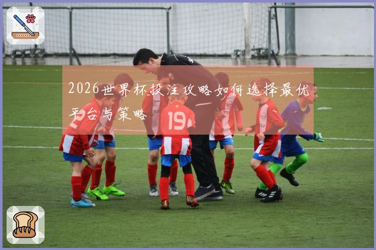 2026世界杯投注攻略如何选择最优平台与策略