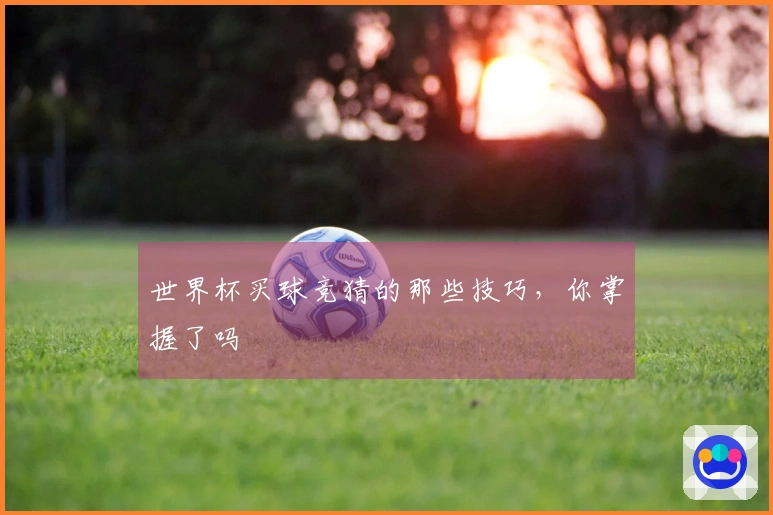 世界杯买球竞猜的那些技巧，你掌握了吗