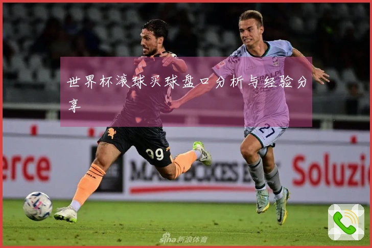 世界杯滚球买球盘口分析与经验分享